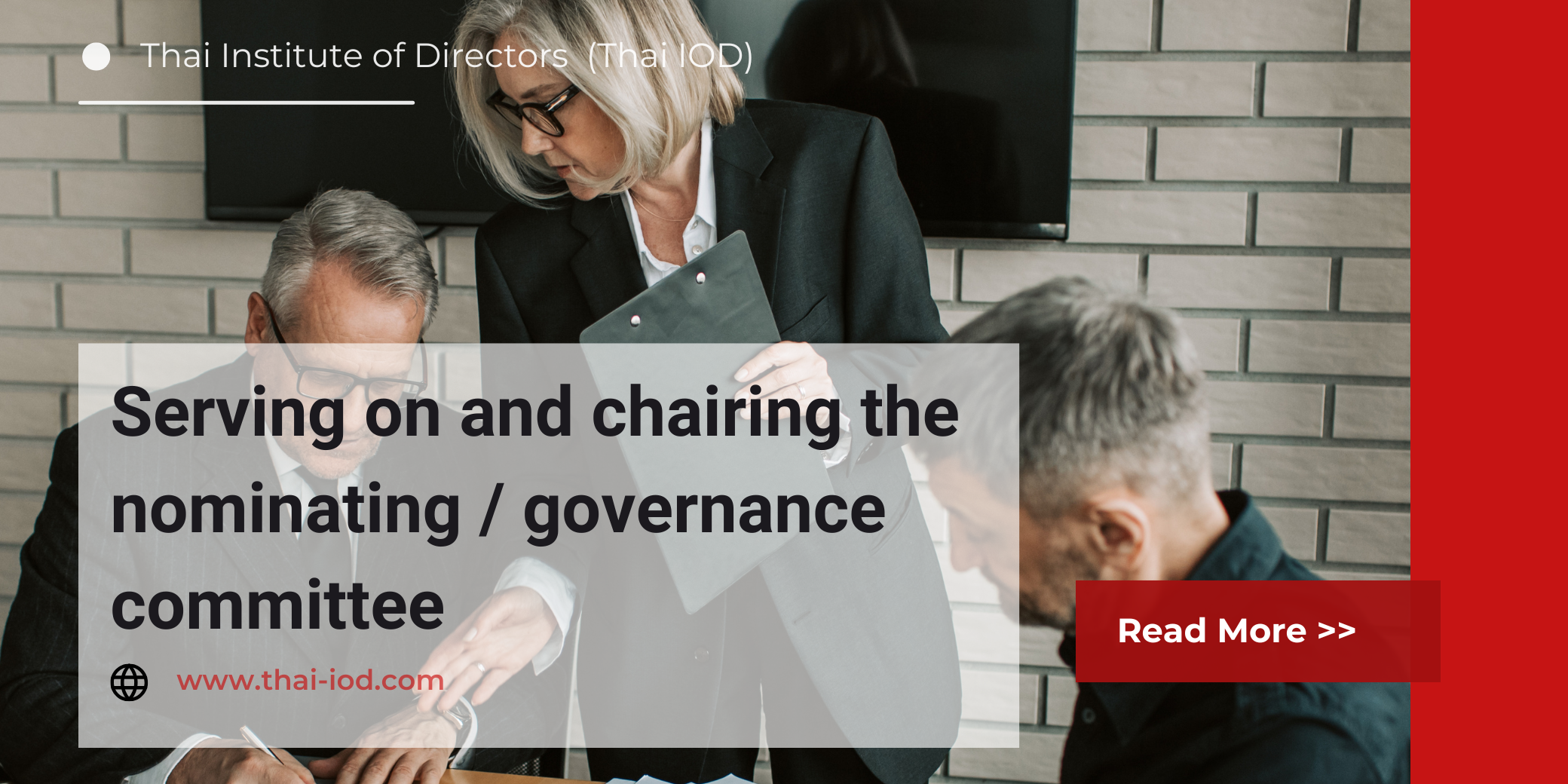 Serving on and chairing the nominating/governance committee